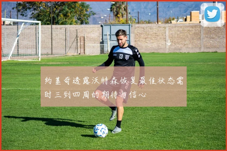 约基奇透露沃特森恢复最佳状态需时三到四周的期待与信心