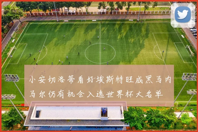 小安切洛蒂看好埃斯特旺成黑马内马尔仍有机会入选世界杯大名单